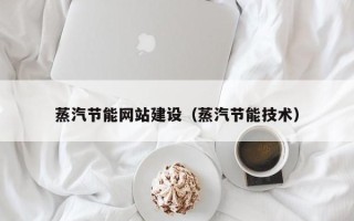 泰兴蒸汽节能网站建设（蒸汽节能技术）