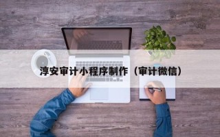 泰兴淳安审计小程序制作（审计微信）